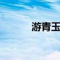 游青玉峡（关于游青玉峡介绍）