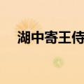 湖中寄王侍御（关于湖中寄王侍御介绍）