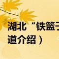 湖北“铁篮子”索道（关于湖北“铁篮子”索道介绍）
