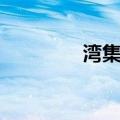 湾集站（关于湾集站介绍）