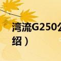 湾流G250公务机（关于湾流G250公务机介绍）