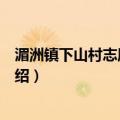 湄洲镇下山村志愿服务队（关于湄洲镇下山村志愿服务队介绍）