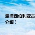 湄潭西伯利亚古杯 相似种（关于湄潭西伯利亚古杯 相似种介绍）