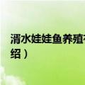 湑水娃娃鱼养殖有限公司（关于湑水娃娃鱼养殖有限公司介绍）