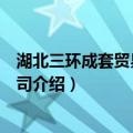 湖北三环成套贸易有限公司（关于湖北三环成套贸易有限公司介绍）