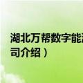 湖北万帮数字能源有限公司（关于湖北万帮数字能源有限公司介绍）