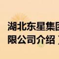 湖北东星集团有限公司（关于湖北东星集团有限公司介绍）