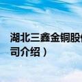 湖北三鑫金铜股份有限公司（关于湖北三鑫金铜股份有限公司介绍）