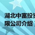湖北中富投资有限公司（关于湖北中富投资有限公司介绍）