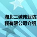 湖北三诚伟业防水工程有限公司（关于湖北三诚伟业防水工程有限公司介绍）