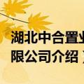 湖北中合置业有限公司（关于湖北中合置业有限公司介绍）