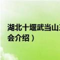 湖北十堰武当山三月三庙会（关于湖北十堰武当山三月三庙会介绍）