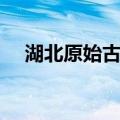 湖北原始古杯（关于湖北原始古杯介绍）