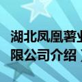 湖北凤凰薯业有限公司（关于湖北凤凰薯业有限公司介绍）