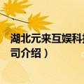 湖北元来互娱科技有限公司（关于湖北元来互娱科技有限公司介绍）