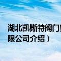 湖北凯斯特阀门集团有限公司（关于湖北凯斯特阀门集团有限公司介绍）