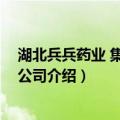 湖北兵兵药业 集团有限公司（关于湖北兵兵药业 集团有限公司介绍）