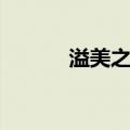 溢美之言（关于溢美之言介绍）