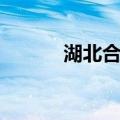 湖北合力（关于湖北合力介绍）