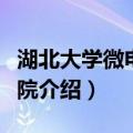 湖北大学微电子学院（关于湖北大学微电子学院介绍）
