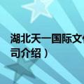 湖北天一国际文化有限公司（关于湖北天一国际文化有限公司介绍）