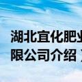 湖北宜化肥业有限公司（关于湖北宜化肥业有限公司介绍）