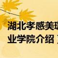湖北孝感美珈职业学院（关于湖北孝感美珈职业学院介绍）