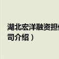 湖北宏洋融资担保有限公司（关于湖北宏洋融资担保有限公司介绍）