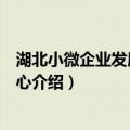 湖北小微企业发展研究中心（关于湖北小微企业发展研究中心介绍）