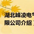 湖北峰凌电气有限公司（关于湖北峰凌电气有限公司介绍）