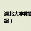 湖北大学附属中学（关于湖北大学附属中学介绍）