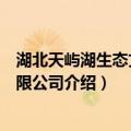 湖北天屿湖生态文旅有限公司（关于湖北天屿湖生态文旅有限公司介绍）