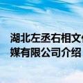 湖北左丞右相文化传媒有限公司（关于湖北左丞右相文化传媒有限公司介绍）
