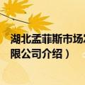 湖北孟菲斯市场发展有限公司（关于湖北孟菲斯市场发展有限公司介绍）