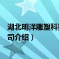 湖北明洋雕塑科技有限公司（关于湖北明洋雕塑科技有限公司介绍）