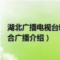 湖北广播电视台新闻综合广播（关于湖北广播电视台新闻综合广播介绍）