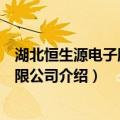 湖北恒生源电子股份有限公司（关于湖北恒生源电子股份有限公司介绍）