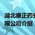 湖北康正药业有限公司（关于湖北康正药业有限公司介绍）
