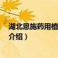 湖北恩施药用植物志 下册（关于湖北恩施药用植物志 下册介绍）
