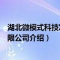 湖北微模式科技发展有限公司（关于湖北微模式科技发展有限公司介绍）