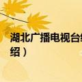 湖北广播电视台经济广播（关于湖北广播电视台经济广播介绍）