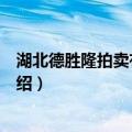 湖北德胜隆拍卖有限公司（关于湖北德胜隆拍卖有限公司介绍）