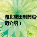 湖北成田制药股份有限公司（关于湖北成田制药股份有限公司介绍）