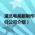 湖北电视剧制作有限责任公司（关于湖北电视剧制作有限责任公司介绍）