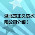 湖北楚正久防水工程有限公司（关于湖北楚正久防水工程有限公司介绍）