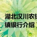 湖北汉川农银村镇银行（关于湖北汉川农银村镇银行介绍）