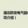 湖北欧安电气股份有限公司（关于湖北欧安电气股份有限公司介绍）