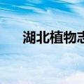 湖北植物志3（关于湖北植物志3介绍）