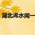 湖北浠水闻一多（关于湖北浠水闻一多介绍）