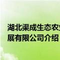 湖北渠成生态农业发展有限公司（关于湖北渠成生态农业发展有限公司介绍）